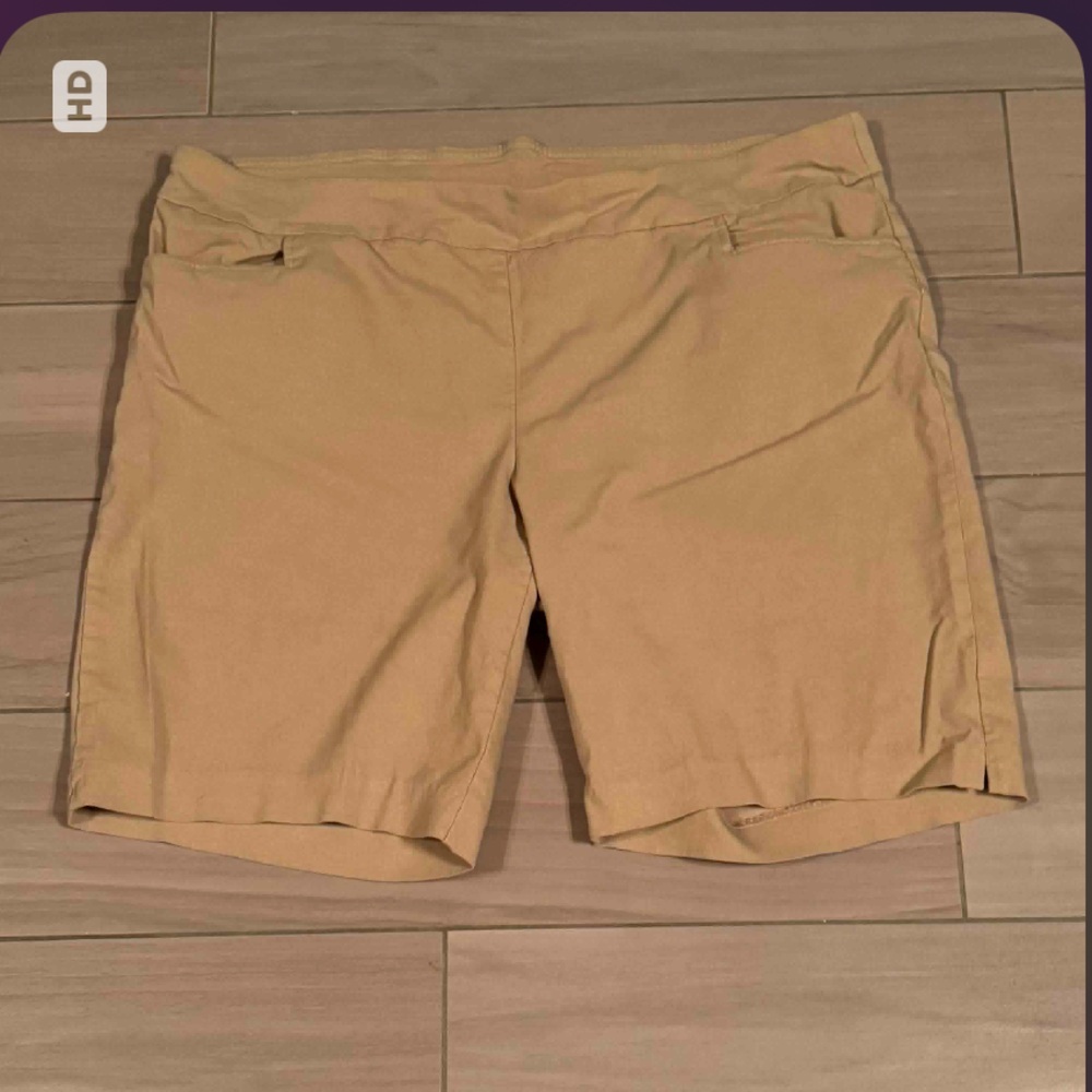 Terra & Sky Women's Beige Shorts 16W - 18W
